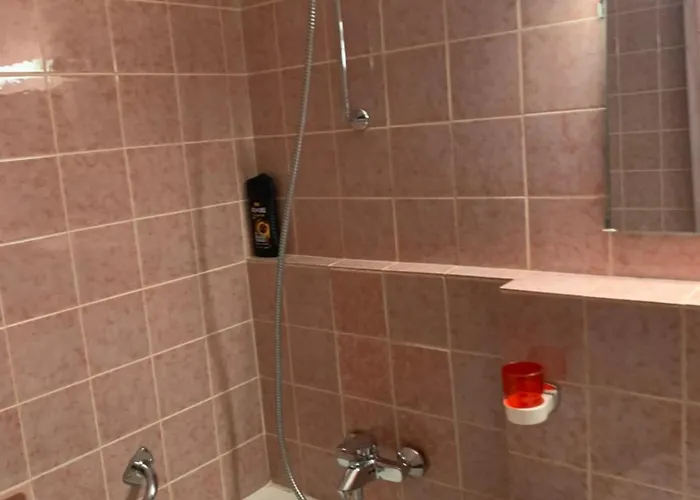Apartamento Panoramahaus 4086